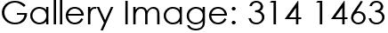Gallery Image: 314 1463