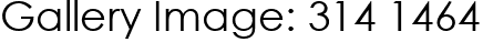 Gallery Image: 314 1464