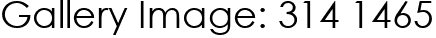 Gallery Image: 314 1465