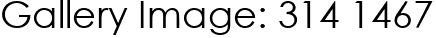 Gallery Image: 314 1467