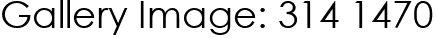 Gallery Image: 314 1470