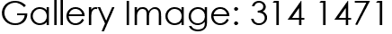 Gallery Image: 314 1471