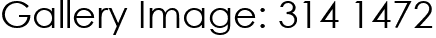 Gallery Image: 314 1472