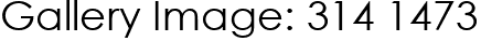 Gallery Image: 314 1473