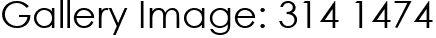 Gallery Image: 314 1474