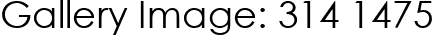 Gallery Image: 314 1475