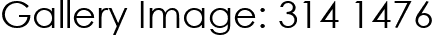 Gallery Image: 314 1476