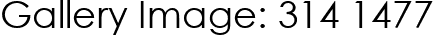 Gallery Image: 314 1477