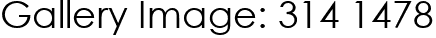 Gallery Image: 314 1478