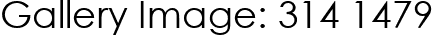 Gallery Image: 314 1479