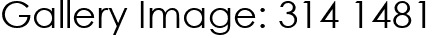 Gallery Image: 314 1481