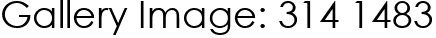 Gallery Image: 314 1483