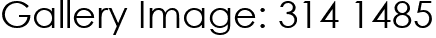 Gallery Image: 314 1485