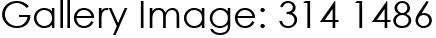 Gallery Image: 314 1486