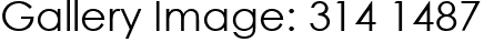 Gallery Image: 314 1487