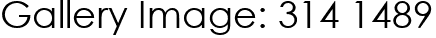 Gallery Image: 314 1489