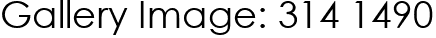 Gallery Image: 314 1490