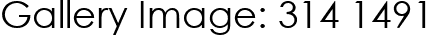 Gallery Image: 314 1491