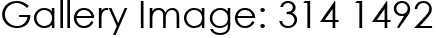 Gallery Image: 314 1492