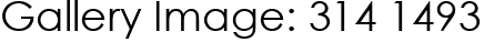 Gallery Image: 314 1493