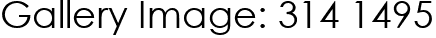 Gallery Image: 314 1495