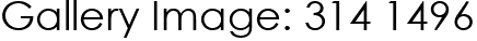 Gallery Image: 314 1496