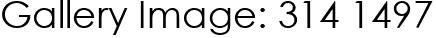Gallery Image: 314 1497