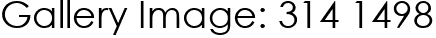 Gallery Image: 314 1498