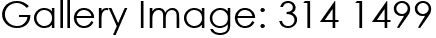 Gallery Image: 314 1499