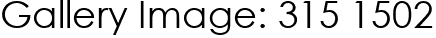 Gallery Image: 315 1502