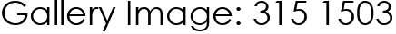 Gallery Image: 315 1503