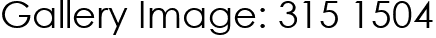 Gallery Image: 315 1504
