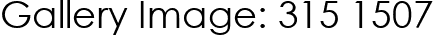 Gallery Image: 315 1507