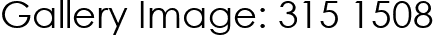 Gallery Image: 315 1508