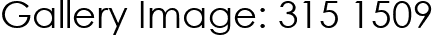 Gallery Image: 315 1509