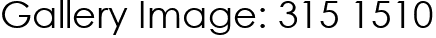 Gallery Image: 315 1510