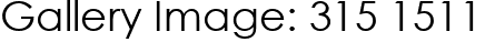 Gallery Image: 315 1511