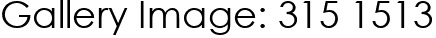 Gallery Image: 315 1513