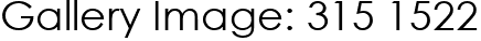 Gallery Image: 315 1522