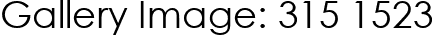 Gallery Image: 315 1523