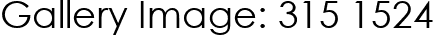 Gallery Image: 315 1524