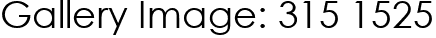 Gallery Image: 315 1525