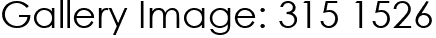 Gallery Image: 315 1526