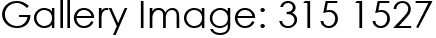 Gallery Image: 315 1527