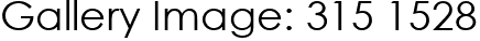 Gallery Image: 315 1528