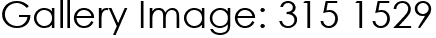 Gallery Image: 315 1529