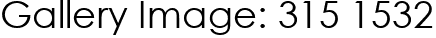 Gallery Image: 315 1532