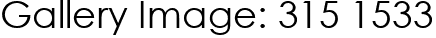 Gallery Image: 315 1533