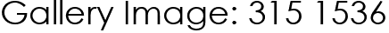 Gallery Image: 315 1536