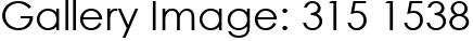 Gallery Image: 315 1538